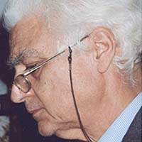 Immagine di Bellini Amedeo